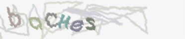 CAPTCHA Bild zum Spamschutz 